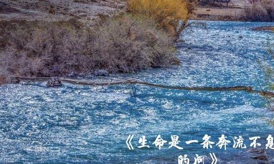 生命的奔流（生命的奔流叶子新小说）