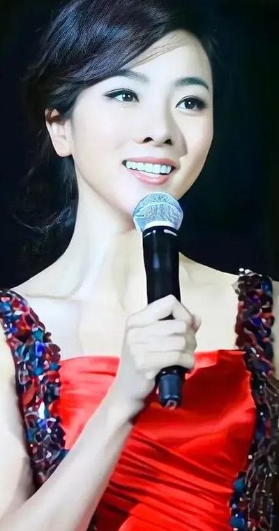 央视主持人李思思(央视主持人李思思现在干啥？)