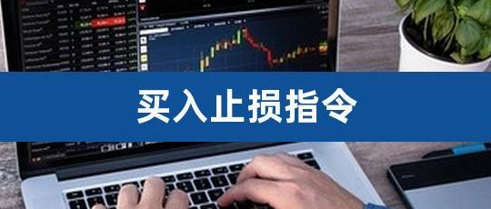 止损指令（止损指令例子）