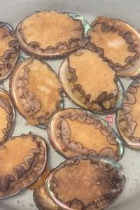 冷冻鲍鱼的做法（冷冻鲍鱼的做法及清洗视频）