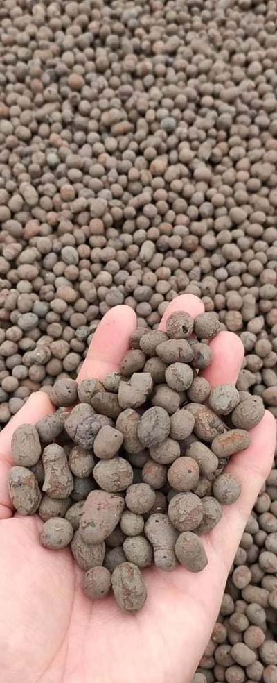 一方陶粒大概多少钱（一方陶粒大概多少钱狗吊的）