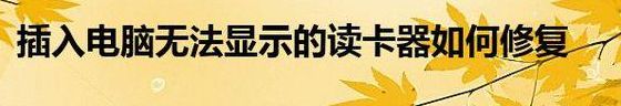 读卡器不显示（读卡器不显示导入）