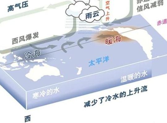 厄尔尼诺年（厄尔尼诺年我国夏季风为什么减弱）