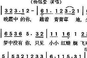晚霞中的红蜻蜓歌词（晚霞中的红蜻蜓歌词歌谱日本民歌）