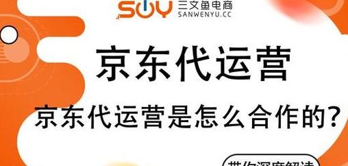 外包公司有哪些(京东有外包公司吗？)
