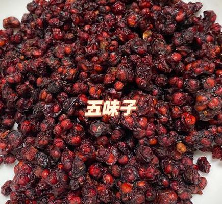 五味子茶（五味子茶功效作用）