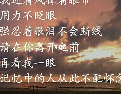 我迎着风撑着眼帘是什么歌（我迎着风睁着眼泪是什么歌）