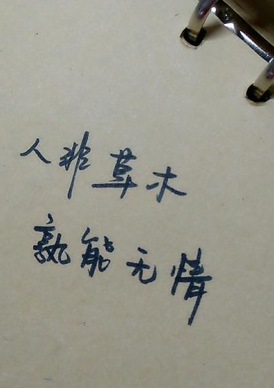 人非草木孰能无情（人非草木孰能无情下一句怎么说）