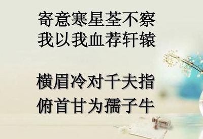 我以我血荐轩辕是谁的誓言(寄意寒星荃不察我以我血荐轩辕写出了什么？)
