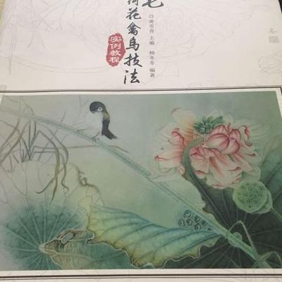 工笔画技法（工笔画技法教学视频）