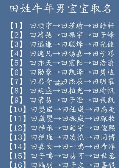 田姓宝宝起名（田姓宝宝起名字）