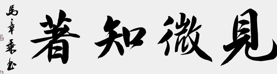 见微知著什么意思（智者虑远见微知著什么意思）