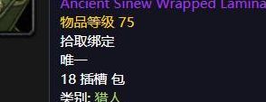 龙筋箭袋(龙筋箭袋任务怎么做？)