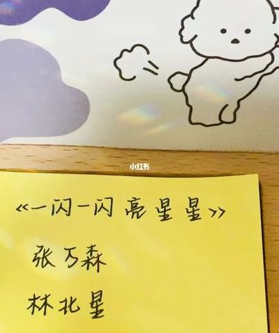 一闪一闪亮星星小说(一闪一闪亮星星小说原著？)