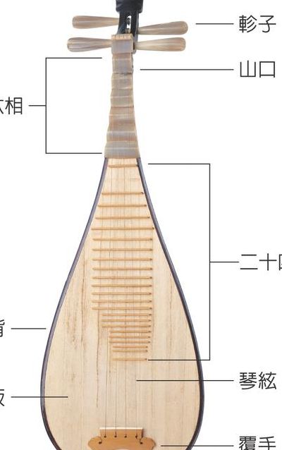 吉他有几根弦（琵琶有几根弦）