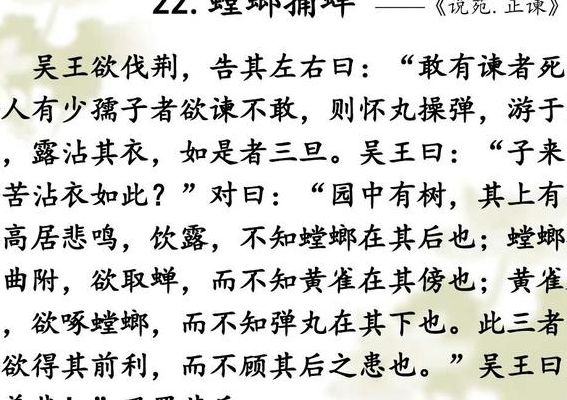 螳螂捕蝉文言文(螳螂捕蝉文言文？)