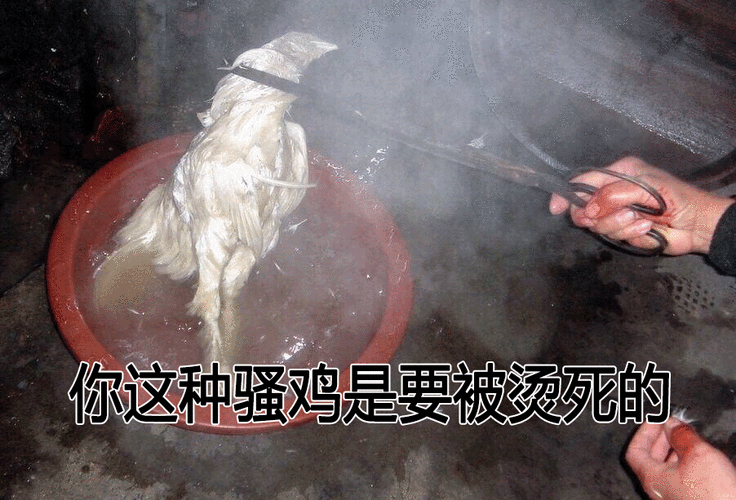 骚鸡是什么意思(外卖鸡肉腥味重？)