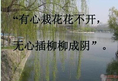 有意栽花花不发无心插柳柳成荫意思（有意栽花花不发无心插柳柳成荫意思和情景）