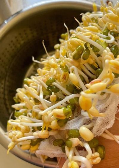 在家自己生绿豆芽怎么生（在家自己生绿豆芽的方法视频）