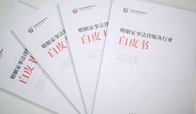 什么叫白皮书(什么叫白皮书？)