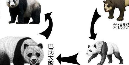 古时候有食铁兽（古时候有食铁兽之称的动物是?）