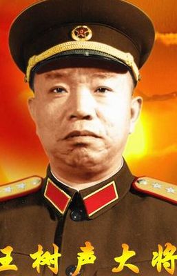 十大将军(世界公认的十大名将排名？)