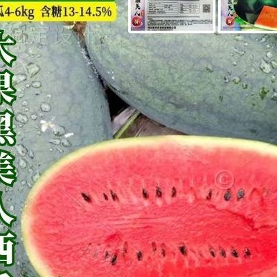 黑美人西瓜种子（黑美人西瓜种子价格）
