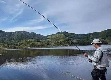 钓鱼技巧全攻略（秋季钓鱼技巧全攻略）