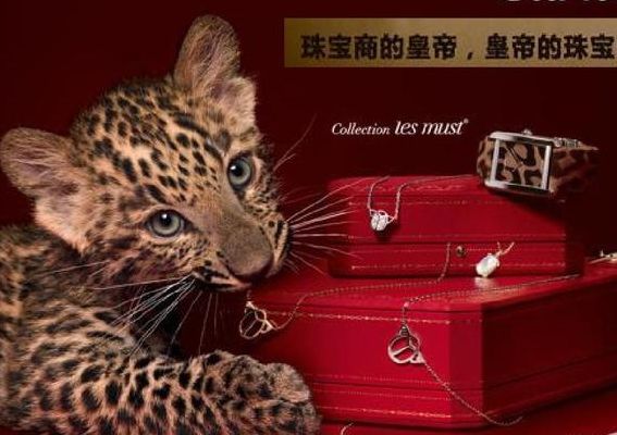 整合营销案例分析（整合营销案例分析卡地亚）