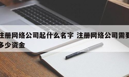 网络公司注册多少钱（注册个网络公司）