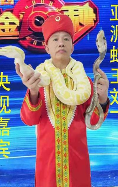 亚洲蛇王（亚洲蛇王郑建）