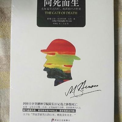 海德格尔向死而生（海德格尔向死而生原文）