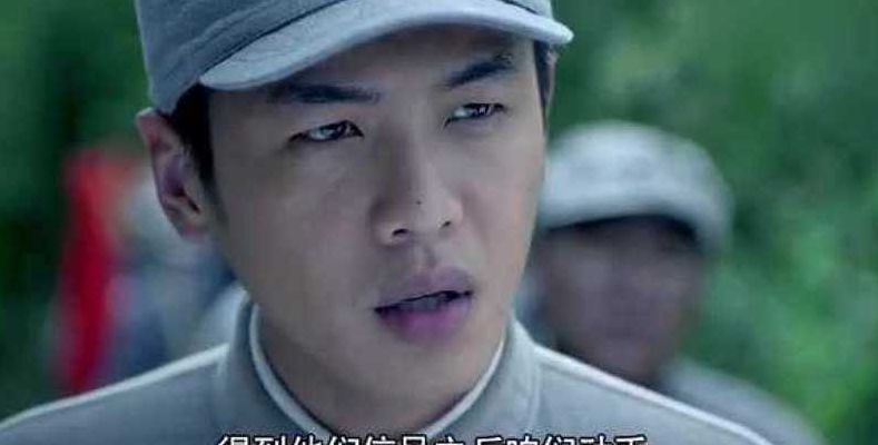 雪豹坚强岁月剧情介绍(雪豹坚强岁月大结局是怎样的？)