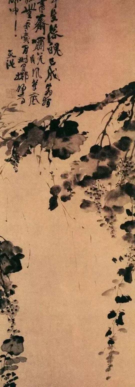 徐渭是一个怎样的人（徐渭是一个怎样的人呢）