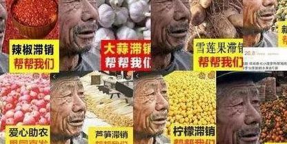 如何处理滞销宝贝(商品滞销导致的库存积压怎么解决?怎么才能把他们销售出去？)