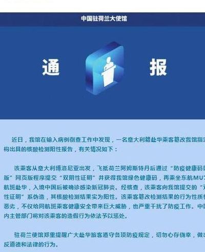 赴华乘客篡改报告（个别从美赴华乘客篡改阳性检测结果）