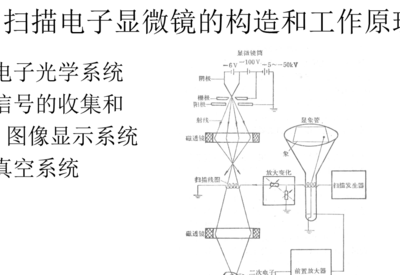 透射电子显微镜原理（扫描电子显微镜原理）