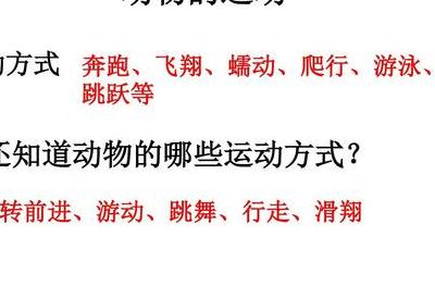 动物的运动（动物的运动基础是什么）