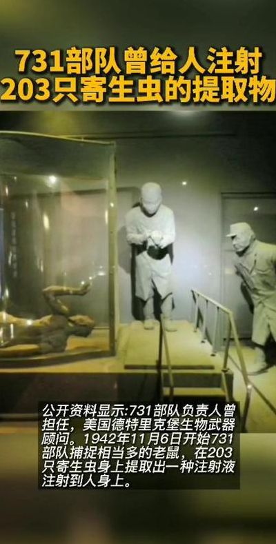 731实验(731试验是什么？)