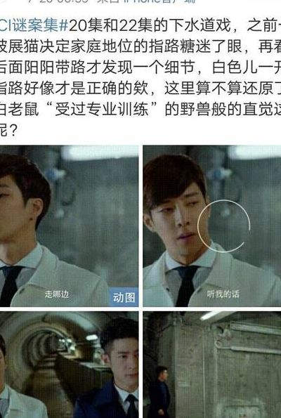 都是车的原耽(sci谜案集实体书里有车吗？)