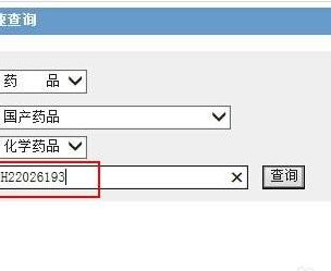 国药准字查询(药品国标码怎么查？)
