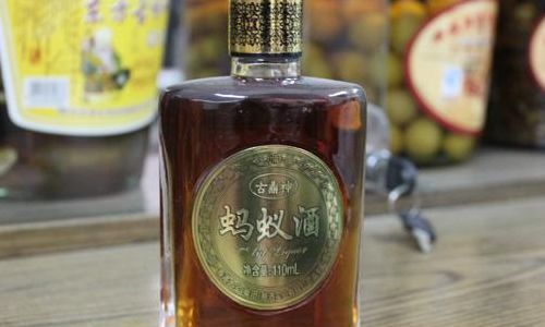 绿蚁是指（绿蚁是指酒吗）