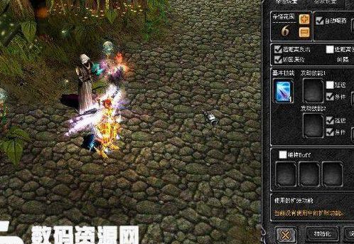 木瓜奇迹魔剑士加点(木瓜奇迹49000魔剑士加点)