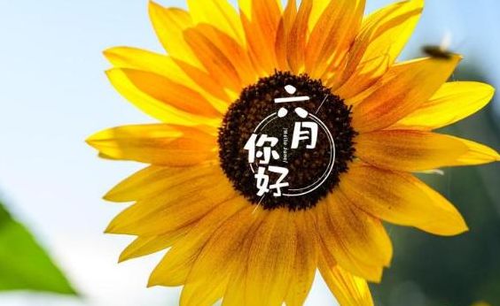 五月的经典语录(5月底经典语录？)