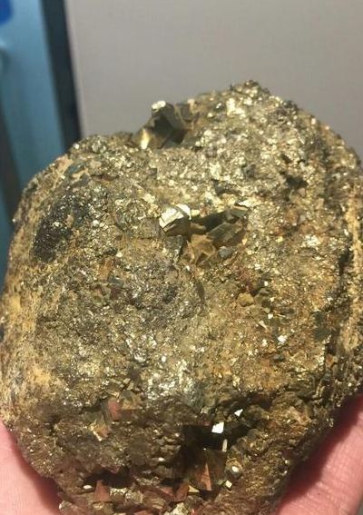 什么是狗头金(什么是狗头金？)
