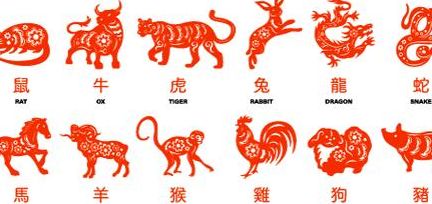 单打独斗是什么生肖（单打独斗是什么生肖呢）