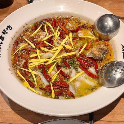 太二酸菜鱼加盟(太二是哪里的品牌？)