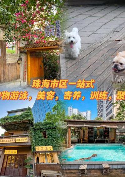 花草宠物（宠物花园俱乐部是真的吗）