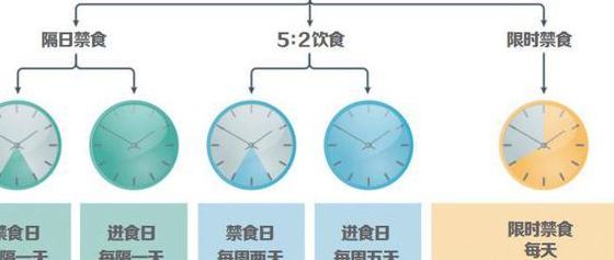 间歇性禁食有利身体健康（间歇性禁食具体方法）