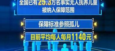 事实孤儿纳入保障（事实孤儿纳入保障范畴）